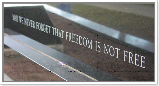 freedom is not free