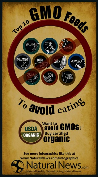 GMO Analyzed